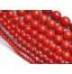 corail perles