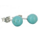 puces oreilles turquoise